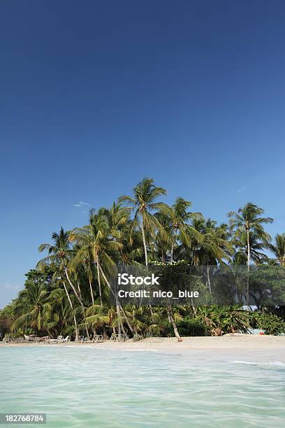 Tropische Pacific Beach Stockfoto und mehr Bilder von Baum - Baum, Costa Rica, Farbbild