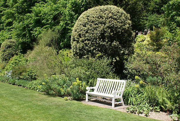 istock Relaxing garden retreat 182770079