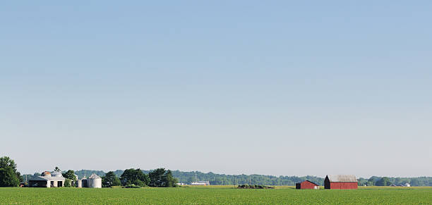 istock Indiana Agriculture Cornfield Plant Rows, Barn and Farm in Spring 182770100