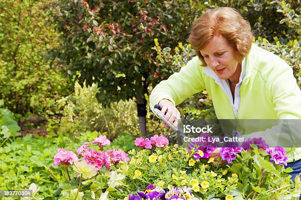 Jardinagem 3 - Fotografias de stock e mais imagens de 50 Anos - 50 Anos, 60-69 Anos, Adulto