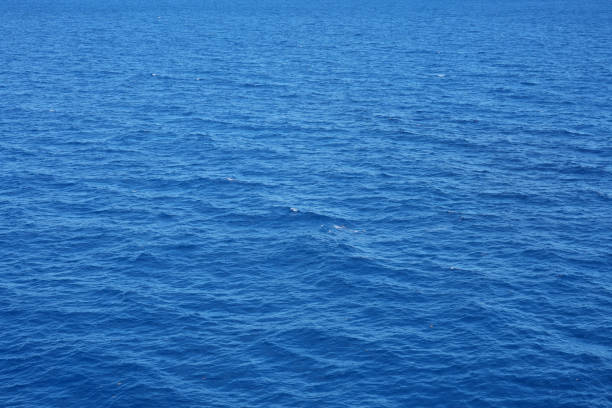 istock high angle view of sea surface 1827705482
