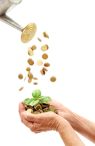 Growing Investments