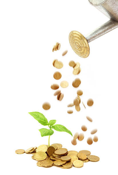 istock Helping Your Investments Grow 182770819