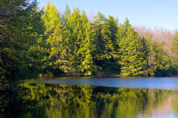 Lake Reflection stock photo