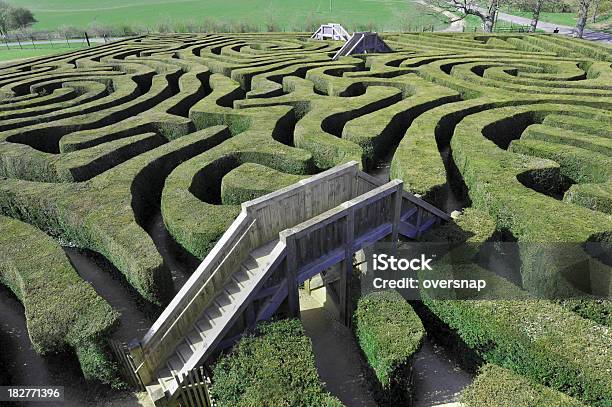Maze With Bridges Stock Photo - Download Image Now - Maze, Bridge - Built Structure, Nature