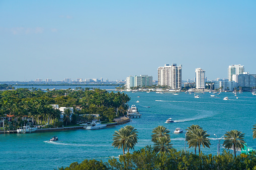 landscape of coconut tree, sea coast and city buildings at beach in Miami