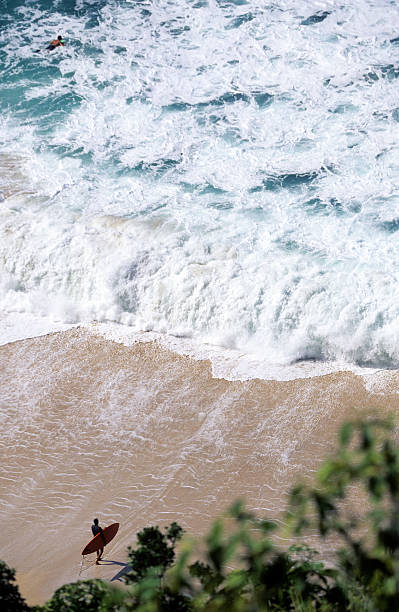istock USA Hawaii O'ahu, North Shore, Waimea Bay. 182771709
