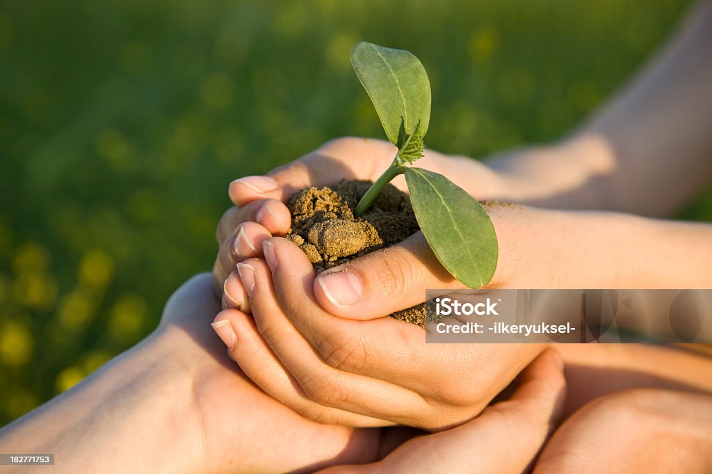 Crescendo em conjunto - Foto de stock de Agricultura royalty-free