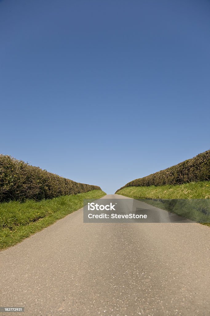 Route de campagne de fuite verticale sur l'horizon - Photo de Accotement herbeux libre de droits