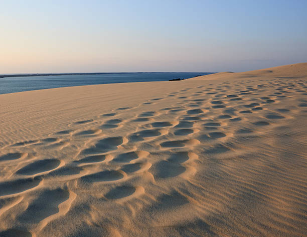 istock Dune of Pyla 182772969
