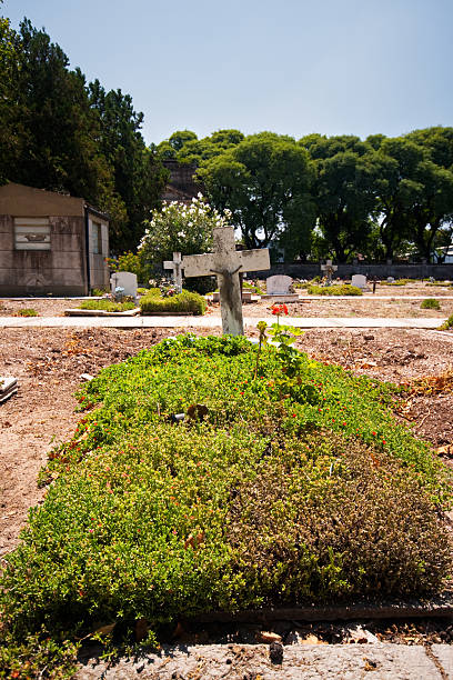 istock Forgotten Grave in Chacaritas Cemetery 182773836