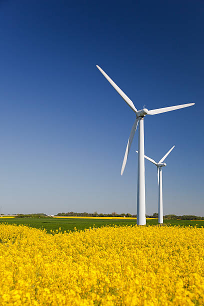 istock Wind turbines in yellow field. Sustainable energy. Polarized blue sky. 182774331