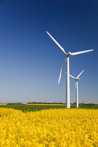 Wind turbines in yellow field. Sustainable energy. Alternative and ecofriendly energy. Polarized blue sky.