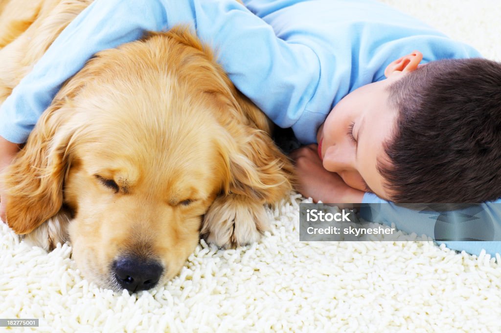 Niño atractivo dormitorio junto con su adorable dog. - Foto de stock de Acostado libre de derechos