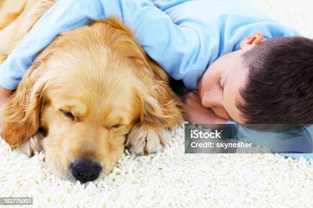 Niño Atractivo Dormitorio Junto Con Su Adorable Dog Foto de stock y más banco de imágenes de Acostado