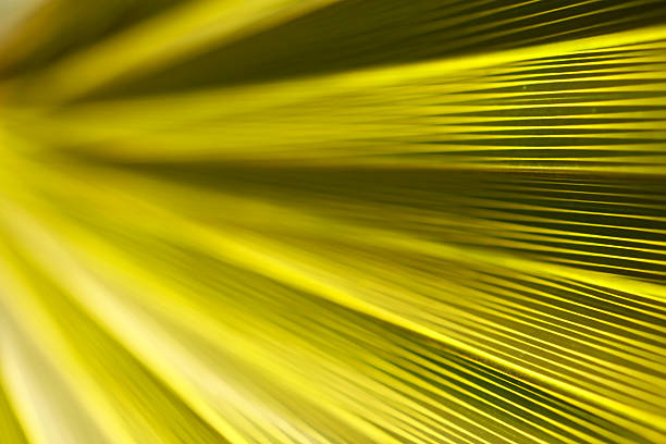 녹색 소프트 배경기술 - art fiber pattern textured effect 뉴스 사진 이미지