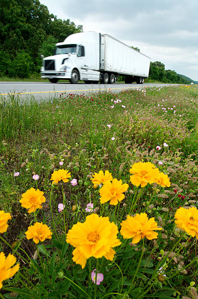 istock Trucks and Wildflowers on the Interstate 182775258