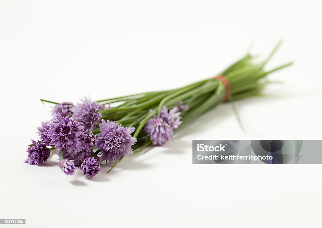Reihe von frischen Schnittlauch mit Blumen - Lizenzfrei Ausgebleicht Stock-Foto