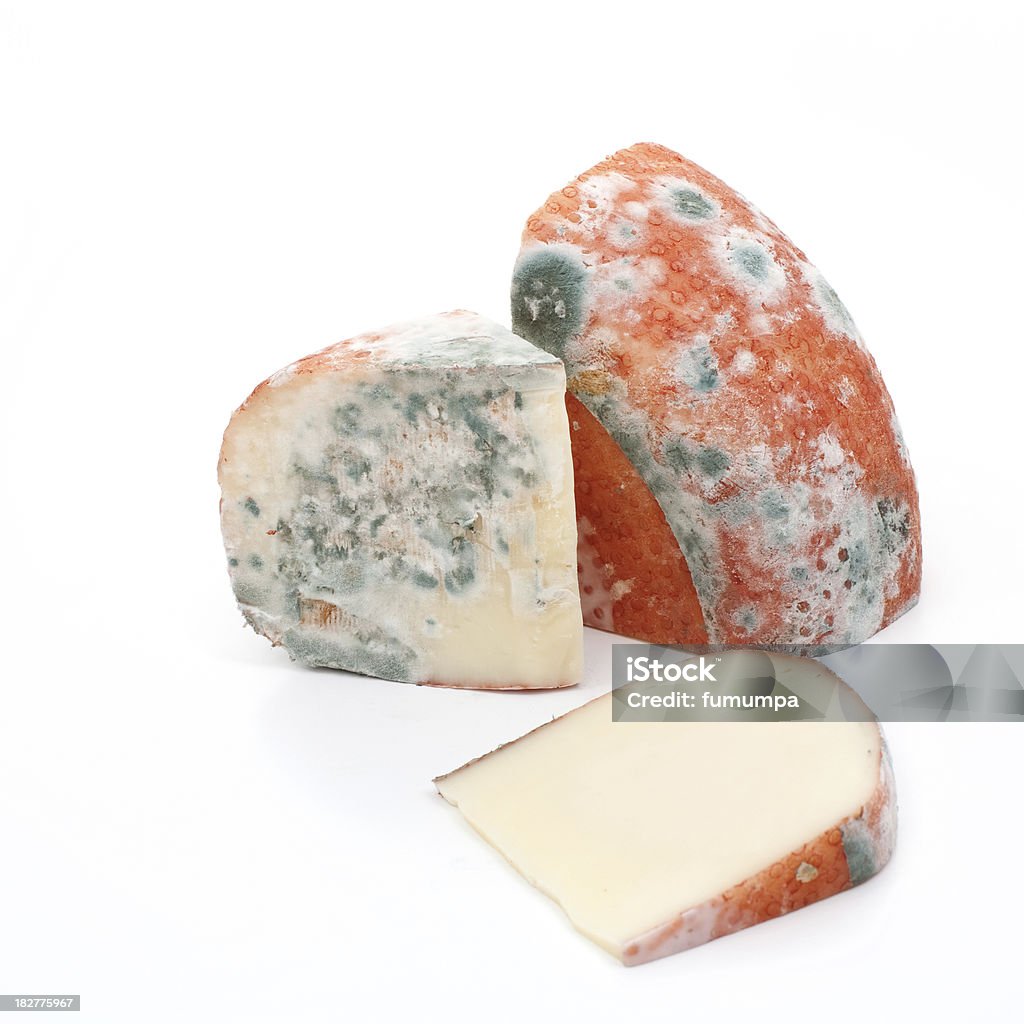 rotten fromage - Photo de Fromage libre de droits