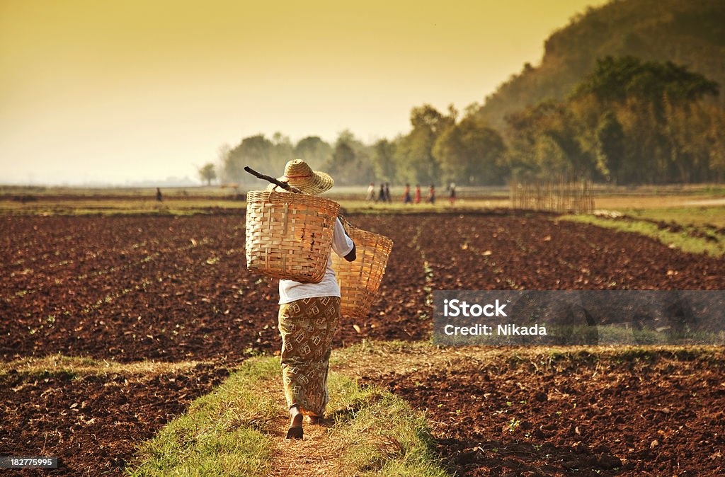 Agricultor mulher na Ásia - Royalty-free Myanmar Foto de stock