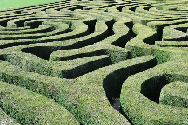 Labyrinth An abstract view from above of a maze of clipped green hedgesEngland Hidden Meaning stock pictures, royalty-free photos & images