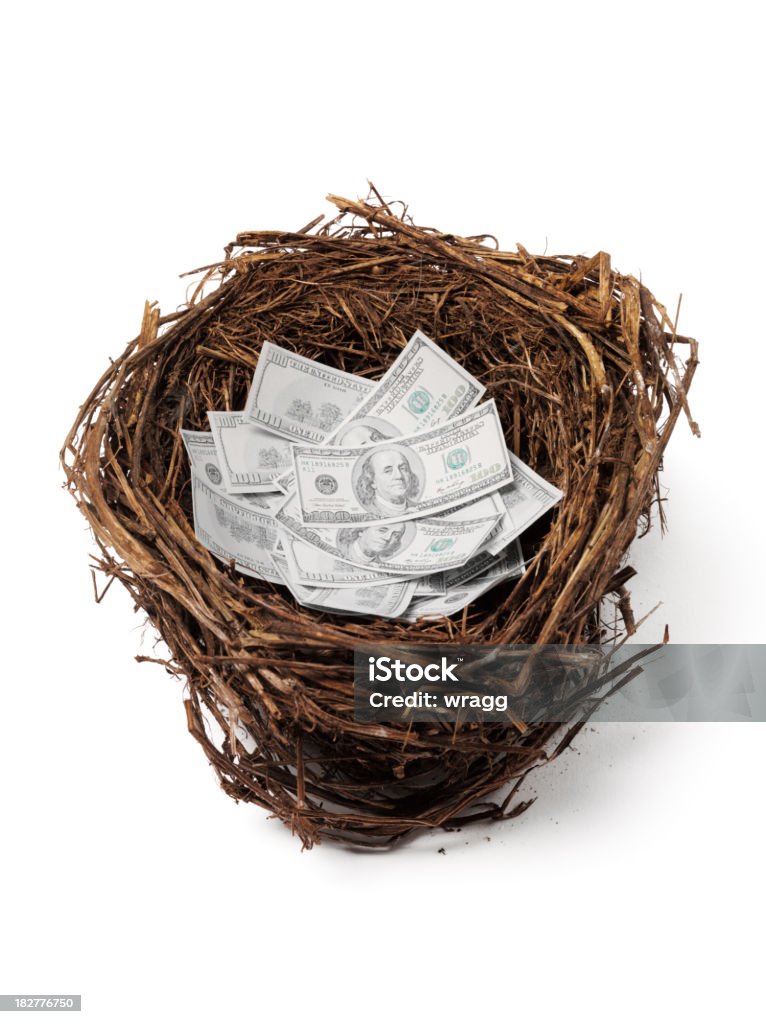 Bird's Nest "mit US-Dollar - Lizenzfrei 100-Dollar-Schein Stock-Foto