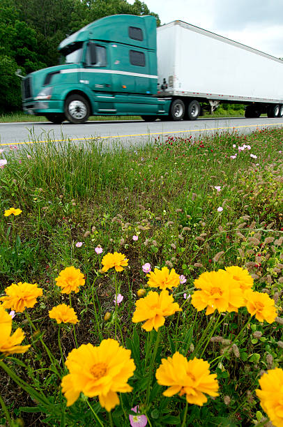 istock Trucks and Wildflowers on the Interstate 182776800