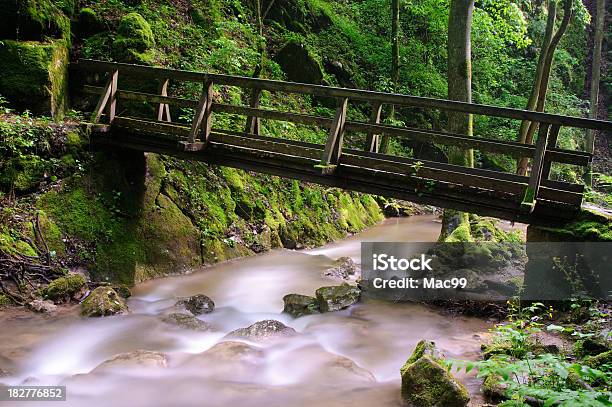 Foto de Ponte Sobre O Rio Floresta e mais fotos de stock de Alpes europeus - Alpes europeus, Beleza natural - Natureza, Bosque - Floresta