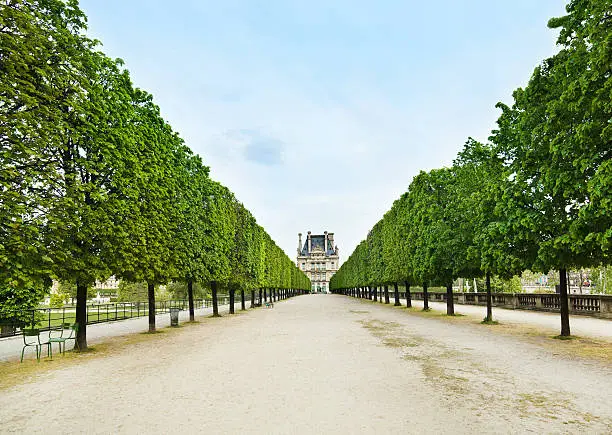 "Pathway in Jardin des Tuileries with tree linedParis, France"