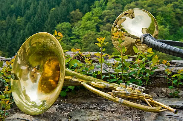 French Horn and Hunting Horn. Wind musical instruments on a stone wall in front of the woods