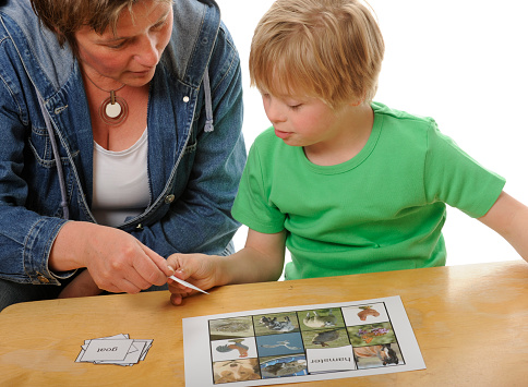 Boy learns to read matching words with animal pictures. The photo's of the animals are my photo's printed on paper. Background white with path.