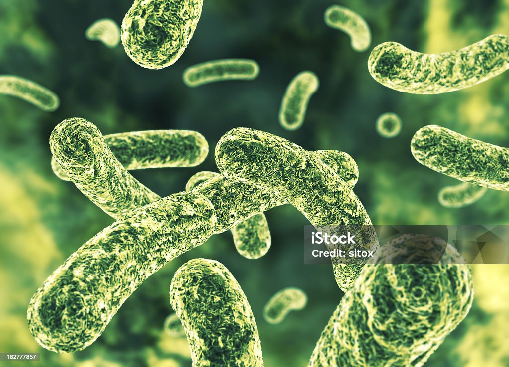 Bacteria Bacteria 3D render.More medical illustrations: Human Gastrointestinal Microbiota Stock Photo