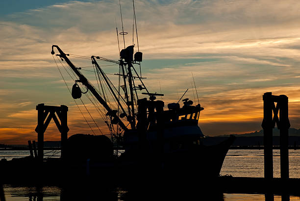 Fishing Boat Silhouette "Image of a commercial fishing boat silhouetted by the setting sun in Everett, Washington, USA" everett washington state stock pictures, royalty-free photos & images