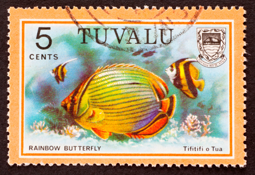 Spanish hogfish on a Belize stamp.