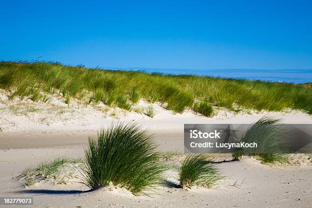 Duenenlandschaft An Der Nordsee Stockfoto und mehr Bilder von Blau - Blau, Deutsche Nordseeregion, Deutschland