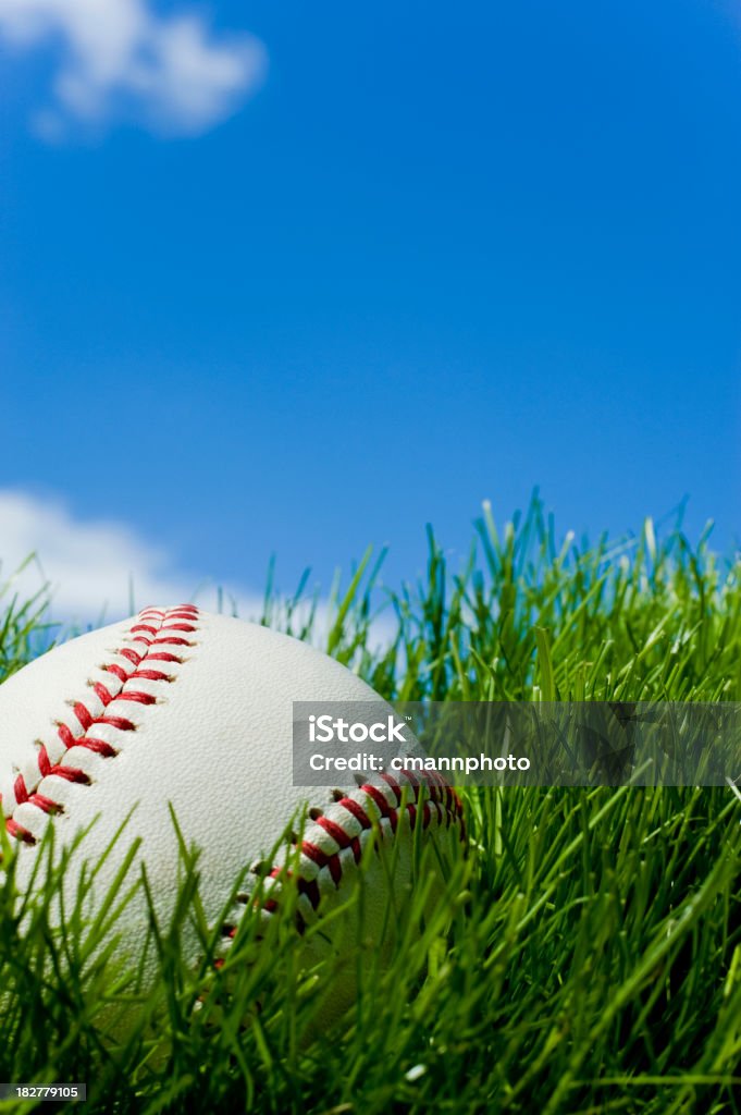 Nowe Baseball siedzi w zielonej trawie - Zbiór zdjęć royalty-free (Baseball)