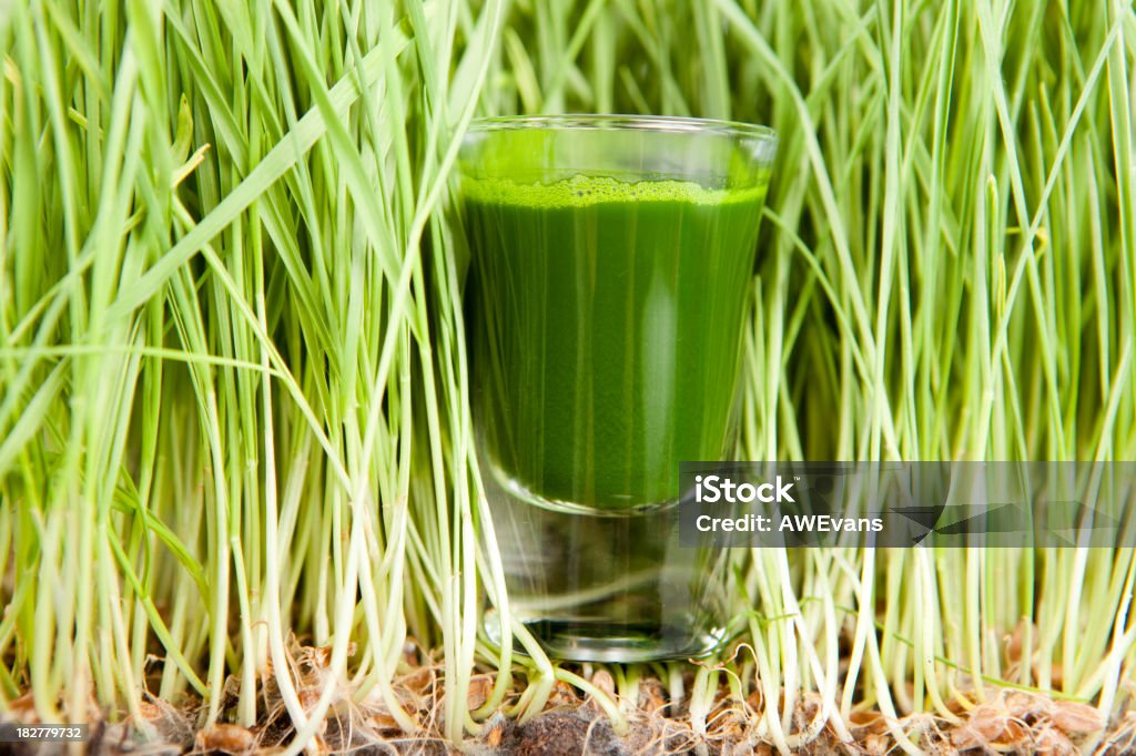 Quecke Wurzeln - Lizenzfrei Abnehmen Stock-Foto