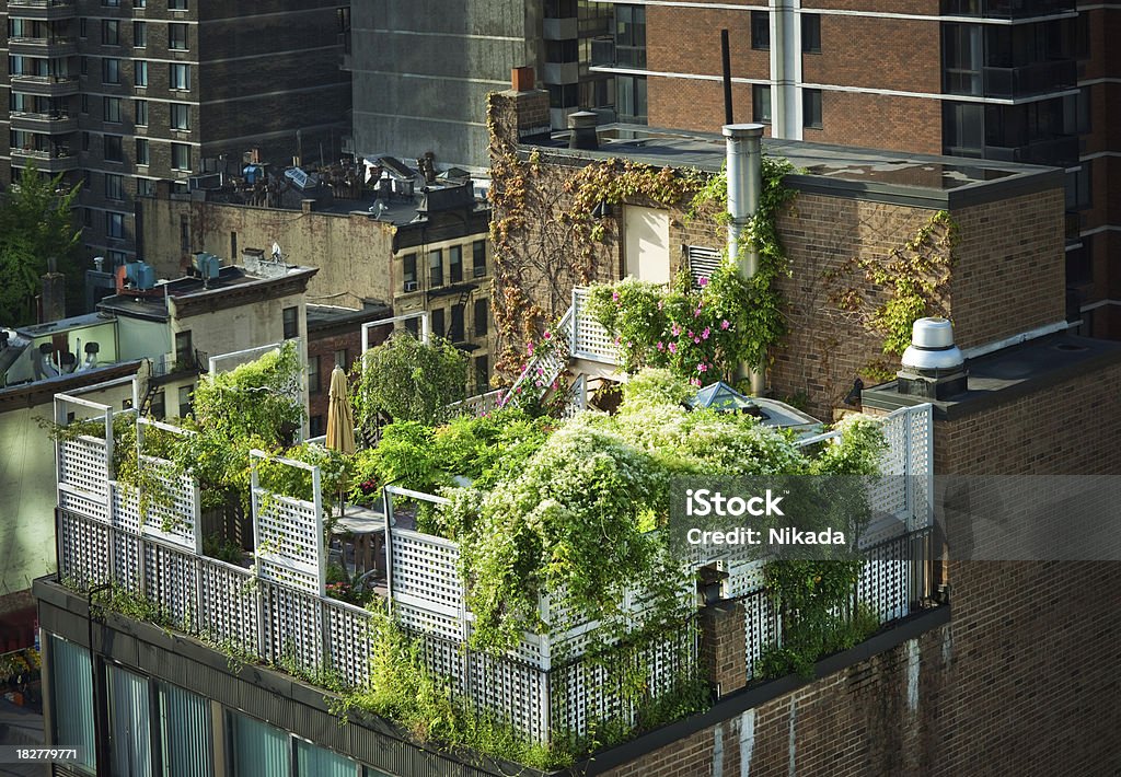 グリ��ーンの屋上でニューヨーク市 - 緑色のロイヤリティフリーストックフォト