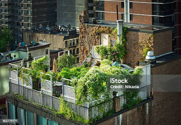 녹색 셸직 뉴욕 녹색에 대한 스톡 사진 및 기타 이미지 - 녹색, 지붕, 도시 경관