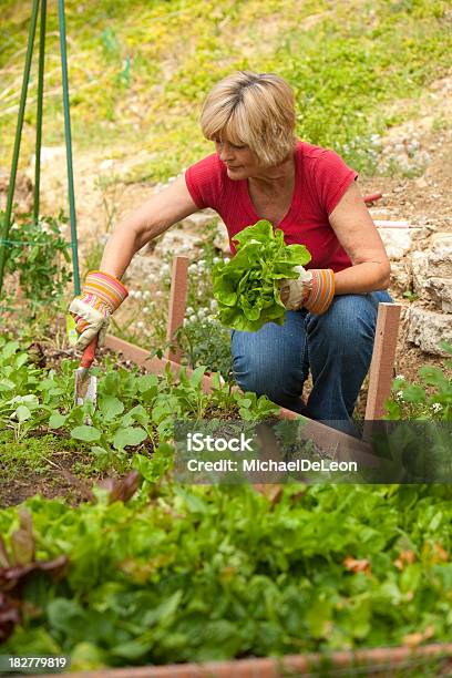 Jardinagem - Fotografias de stock e mais imagens de 55-59 anos - 55-59 anos, Adulto, Adulto maduro