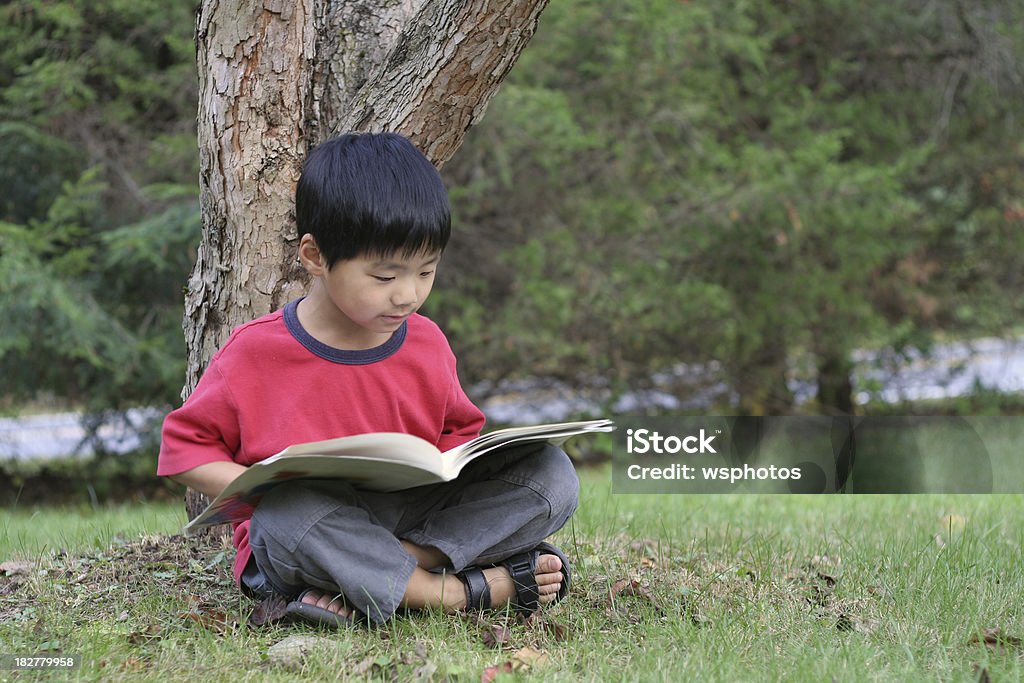Pequeño niño asiático leyendo libro bajo un árbol en el verano - Foto de stock de Verano libre de derechos