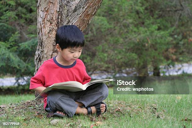 Pequeño Niño Asiático Leyendo Libro Bajo Un Árbol En El Verano Foto de stock y más banco de imágenes de Verano
