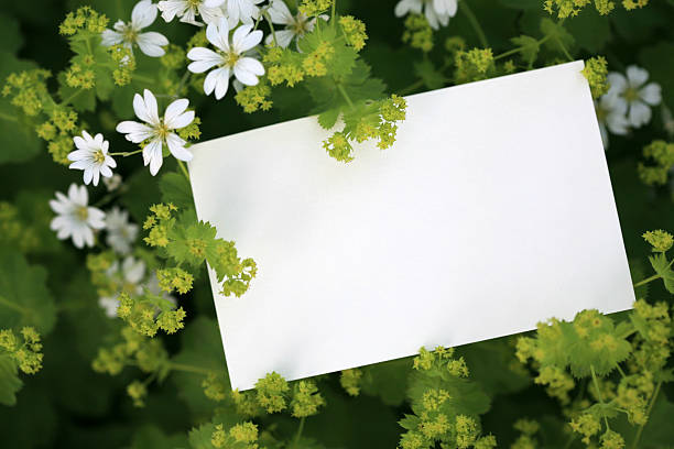 istock Greetings from the garden 182780181