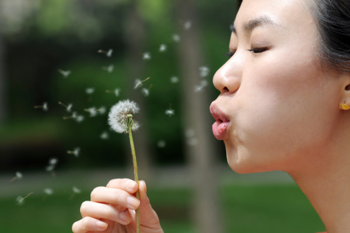 A innocent girl make a wish and blowing dandelion