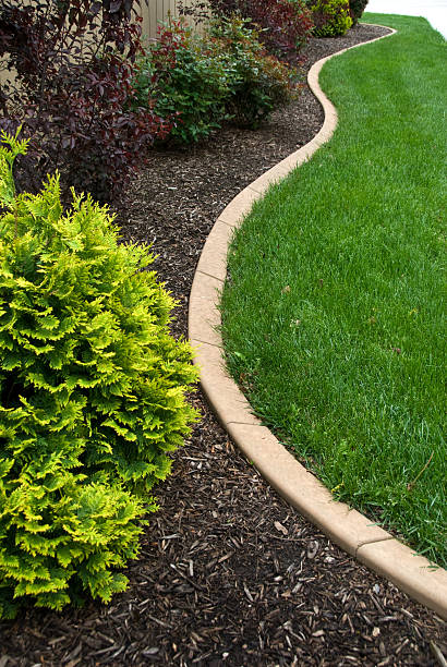 istock Shaped Concrete Curbing as Landscaping Edge 182780286