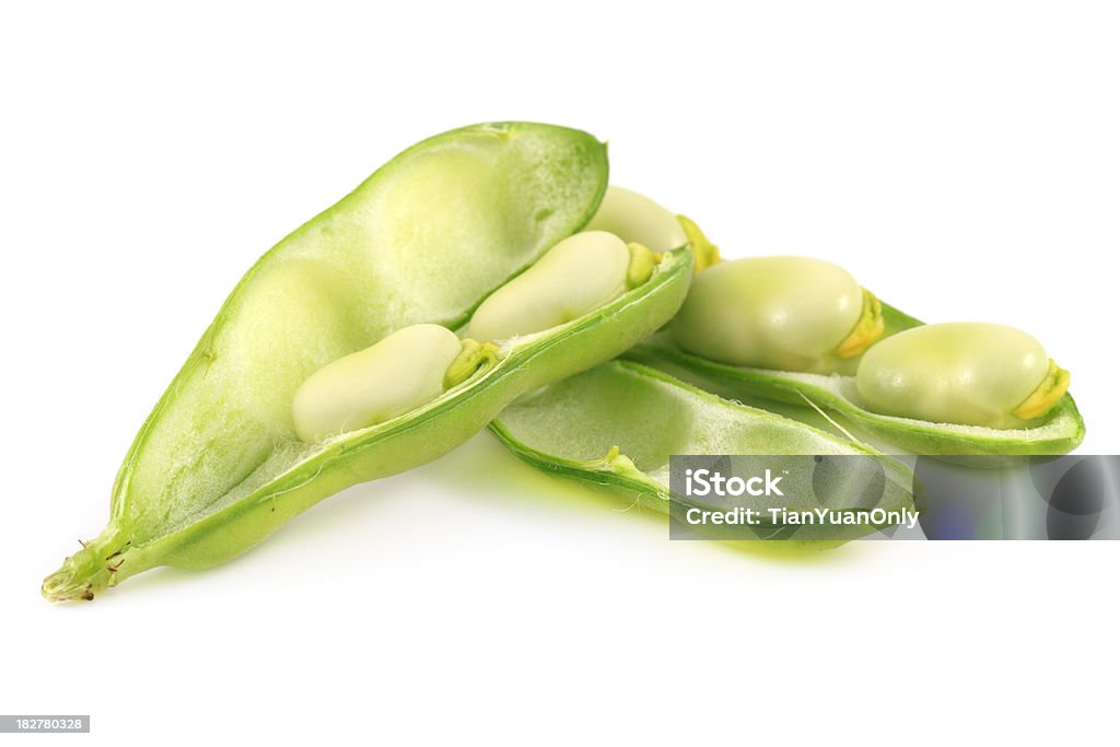 Broad Bean - Lizenzfrei Pferdebohne Stock-Foto