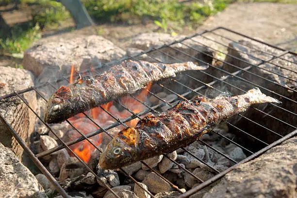 Photo of Grilling trout