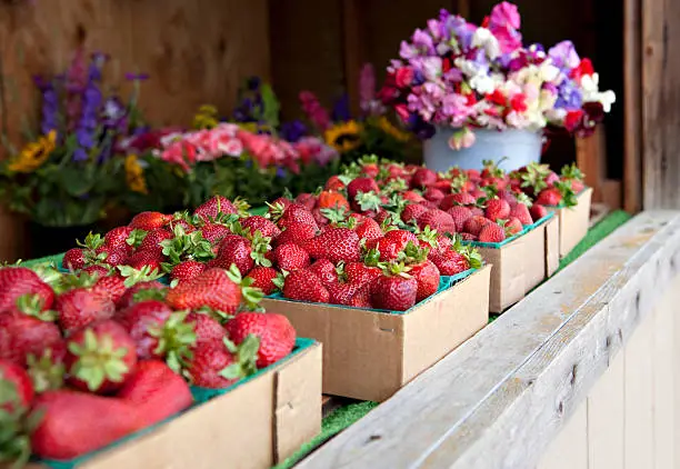 A fresh fruit and flower stand with fresh picked strawberries and flowers