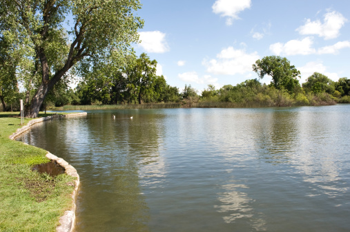 This city park in Lodi California has this beautiful lake for enjoyment.