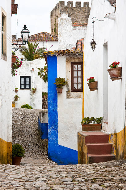 A row of houses on a cobblestone street in Obidos Portugal